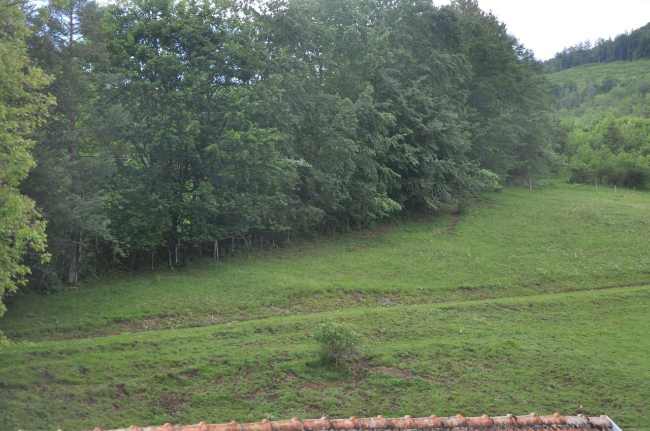 Mostheuriger Steyrdurchbruchalm Leonstein Exterior foto